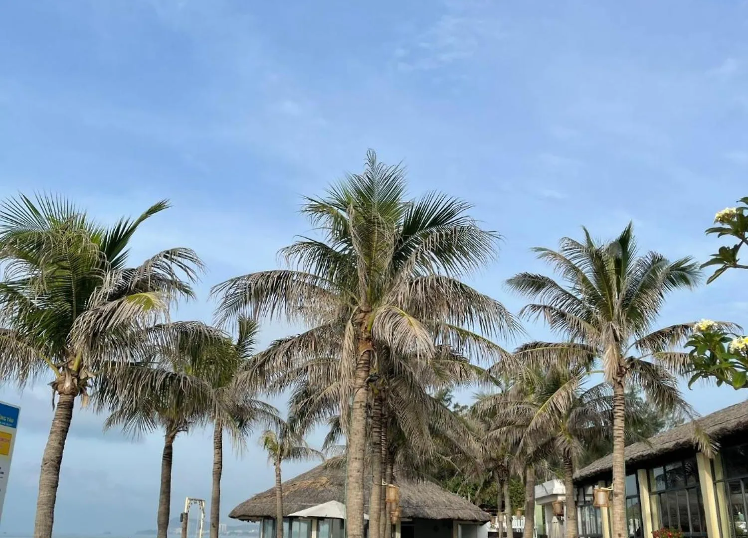 Aria Vung Tau,Sat Bien Va Co Ho Boi Mien Phi Apartment